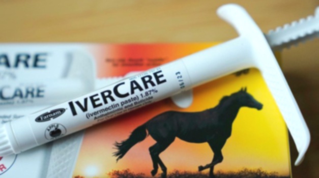 ivermectin
